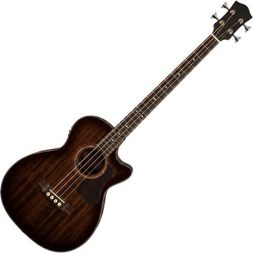 Acoustic Basses
